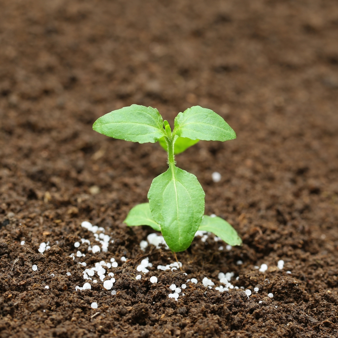 Fertilizante orgánico